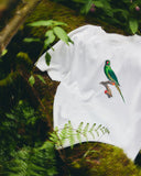 A white short-sleeve Uskees T-shirt laid on mossy forest floor with ferns and green leaves around it. The shirt has a printed illustration of a parakeet perched on a branch on the front.